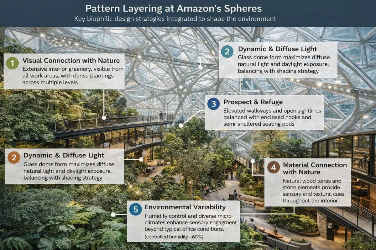 An annotated diagram of the pattern layering at Amazon’s Spheres showing layered biophilic patterns including visual connection to nature, diffuse daylight, prospect and refuge zones, natural materials, and environmental variability