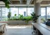 Biophilic Design in England in practise in london office