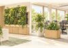 Conceptual office illustration comparing a planted feature wall with freestanding plant displays near workstations.