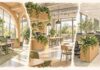 Conceptual triptych of office daylight and timber, a planted coworking cafe, and desk-edge planters.